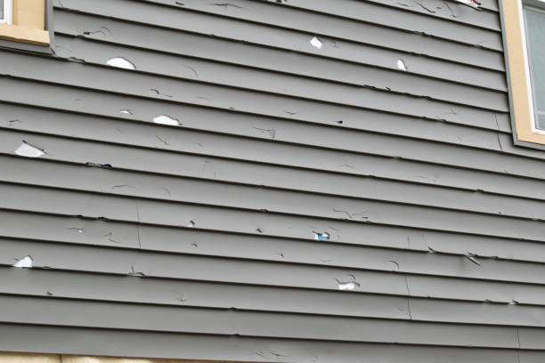 Best Custom Siding Design  in Trenton, IL