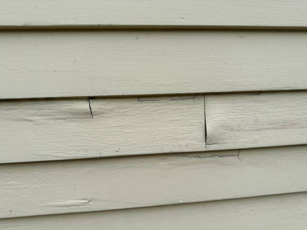 Best Engineered Wood Siding  in Trenton, IL